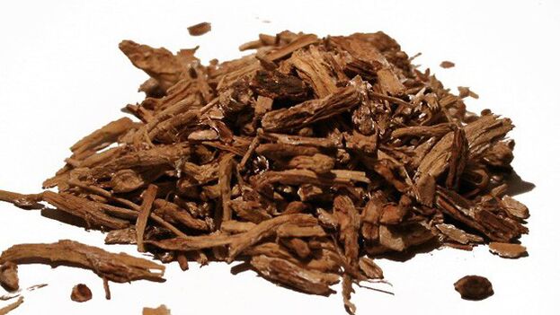 Tsikoria a Magicoa -ban